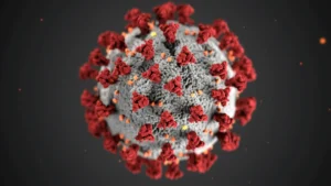 IA projeta DNA de vírus - Imagem: Reprodução.