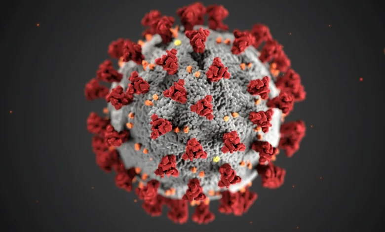 IA projeta DNA de vírus - Imagem: Reprodução.