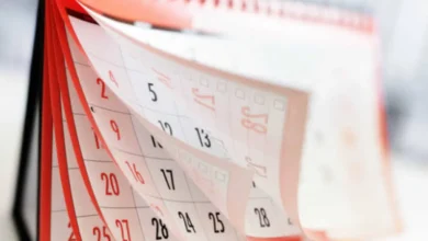 Feriados em novembro de 2025 - Imagem: Reprodução.