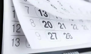 Feriados regionais e nacionais em novembro - Imagem: Reprodução.