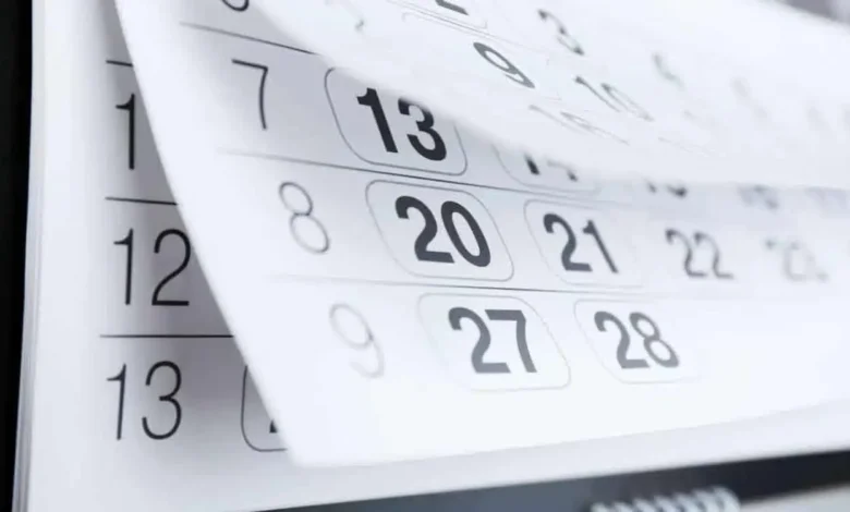 Feriados regionais e nacionais em novembro - Imagem: Reprodução.