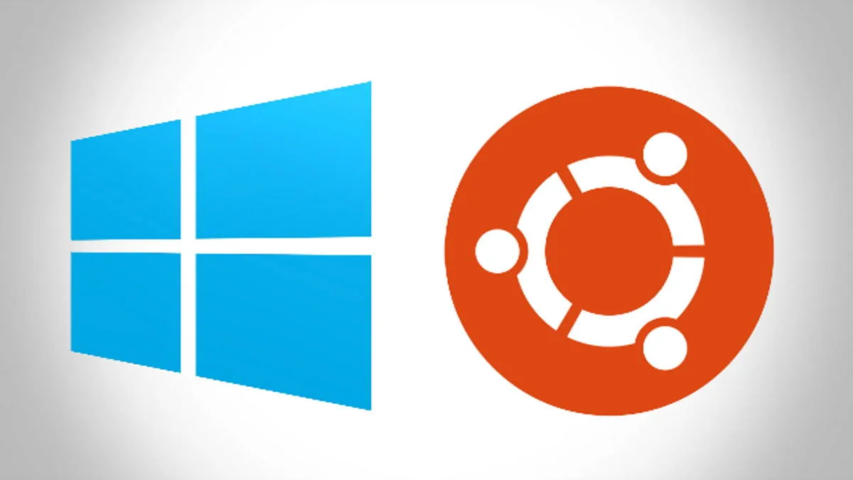 Substituição do Windows pelo Linux - Imagem: Reprodução.